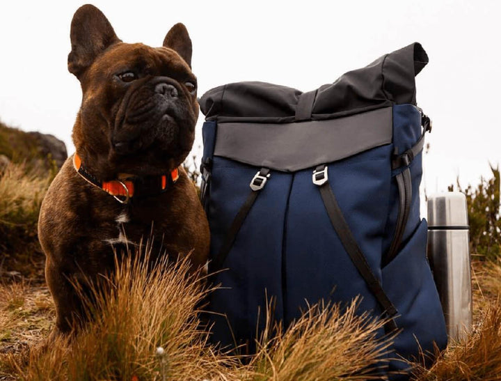 ANTI-THEFT SPEED BACKPACK - The Frenchie Co